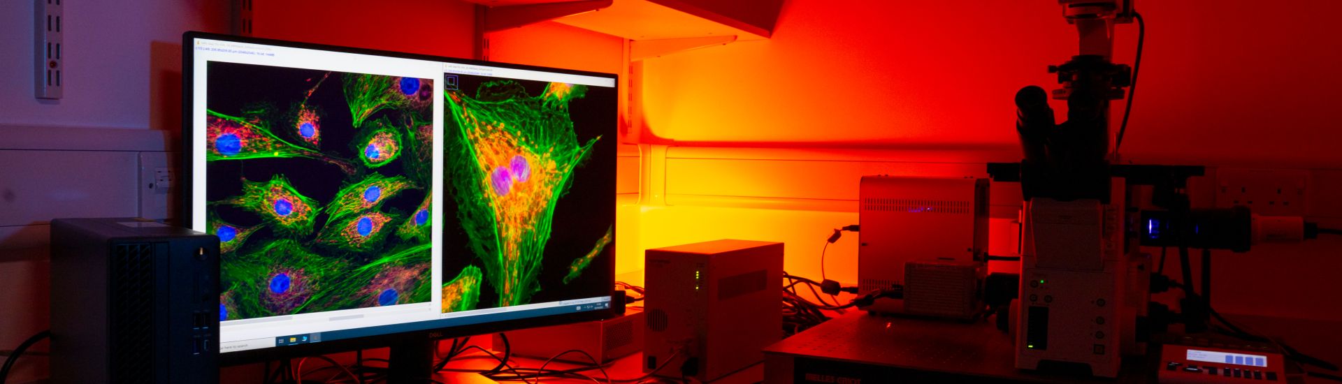 Technology Services Directorate